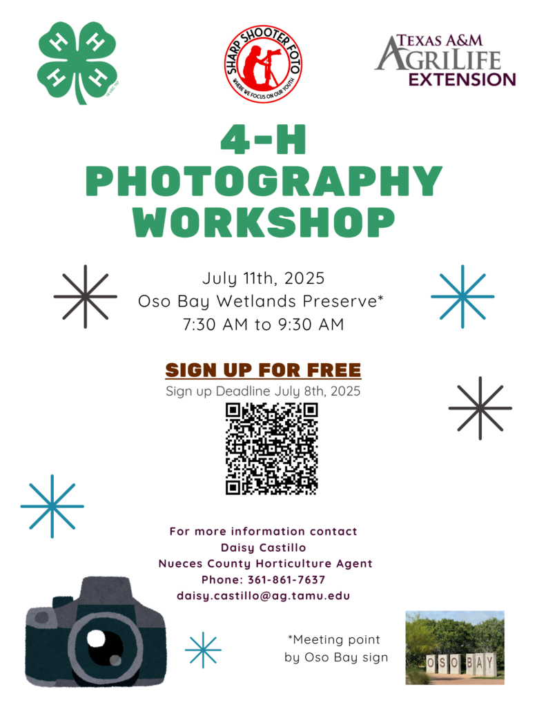 4h photography workshop