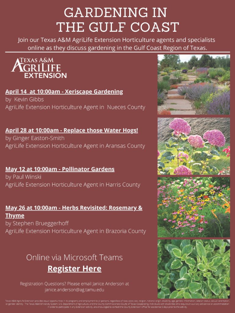 GARDENING IN THE GULF COAST – April May