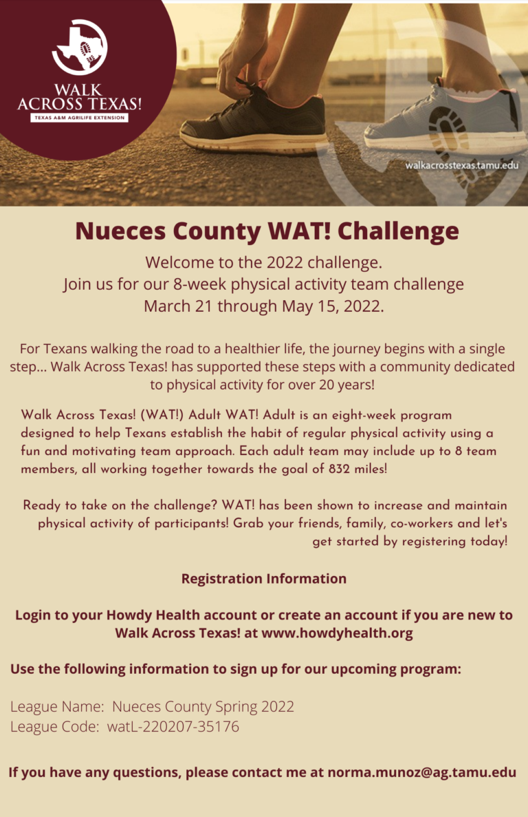 Nueces County WAT! Challenge Flyer